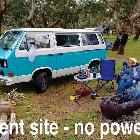 Bimbi Park - Camping Under Koalas Cape Otway Εξωτερικό φωτογραφία