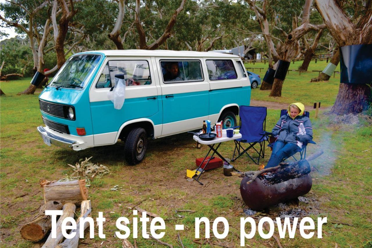 Bimbi Park - Camping Under Koalas Cape Otway Εξωτερικό φωτογραφία
