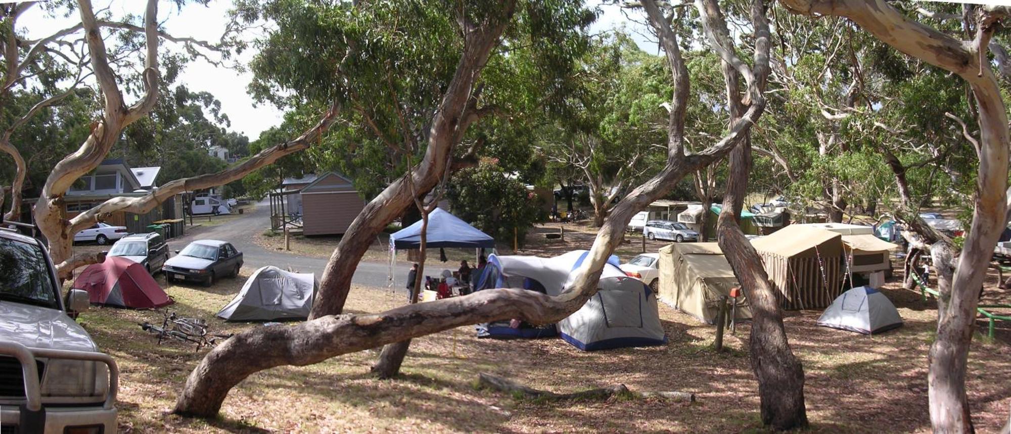 Bimbi Park - Camping Under Koalas Cape Otway Εξωτερικό φωτογραφία