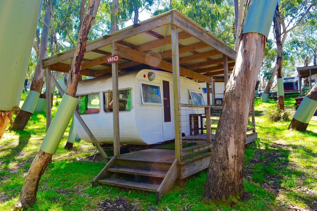 Bimbi Park - Camping Under Koalas Cape Otway Εξωτερικό φωτογραφία