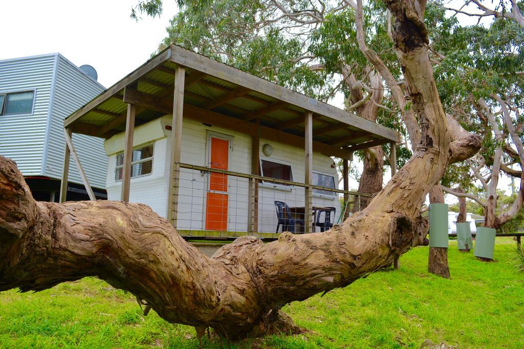 Bimbi Park - Camping Under Koalas Cape Otway Εξωτερικό φωτογραφία