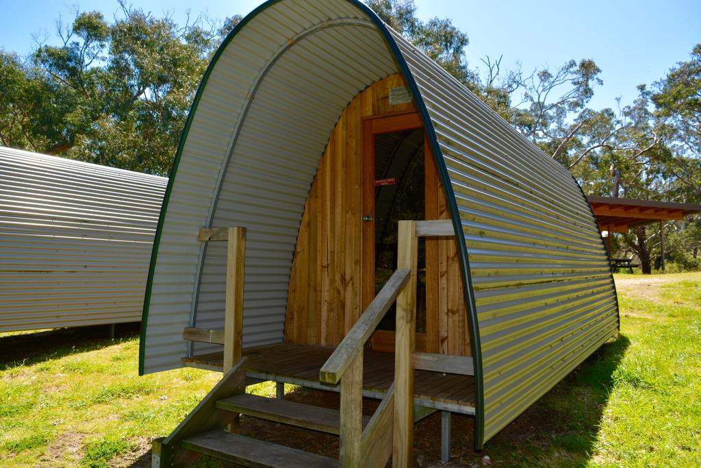 Bimbi Park - Camping Under Koalas Cape Otway Εξωτερικό φωτογραφία