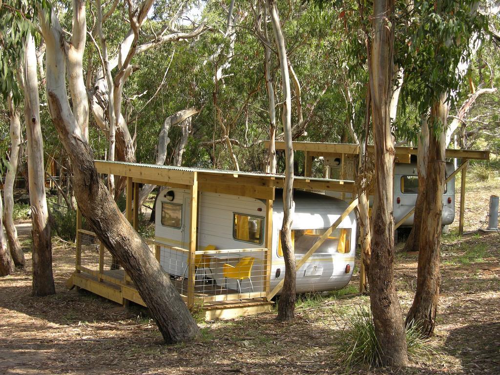 Bimbi Park - Camping Under Koalas Cape Otway Εξωτερικό φωτογραφία