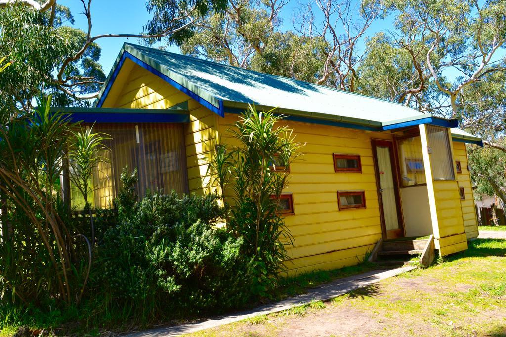 Bimbi Park - Camping Under Koalas Cape Otway Εξωτερικό φωτογραφία