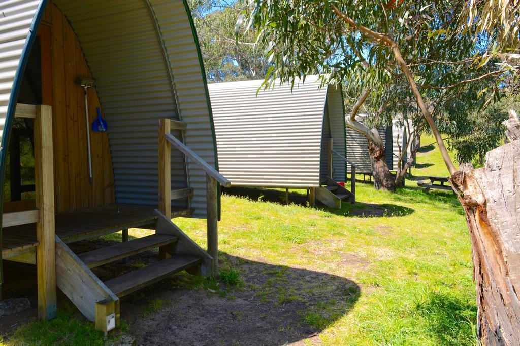 Bimbi Park - Camping Under Koalas Cape Otway Εξωτερικό φωτογραφία