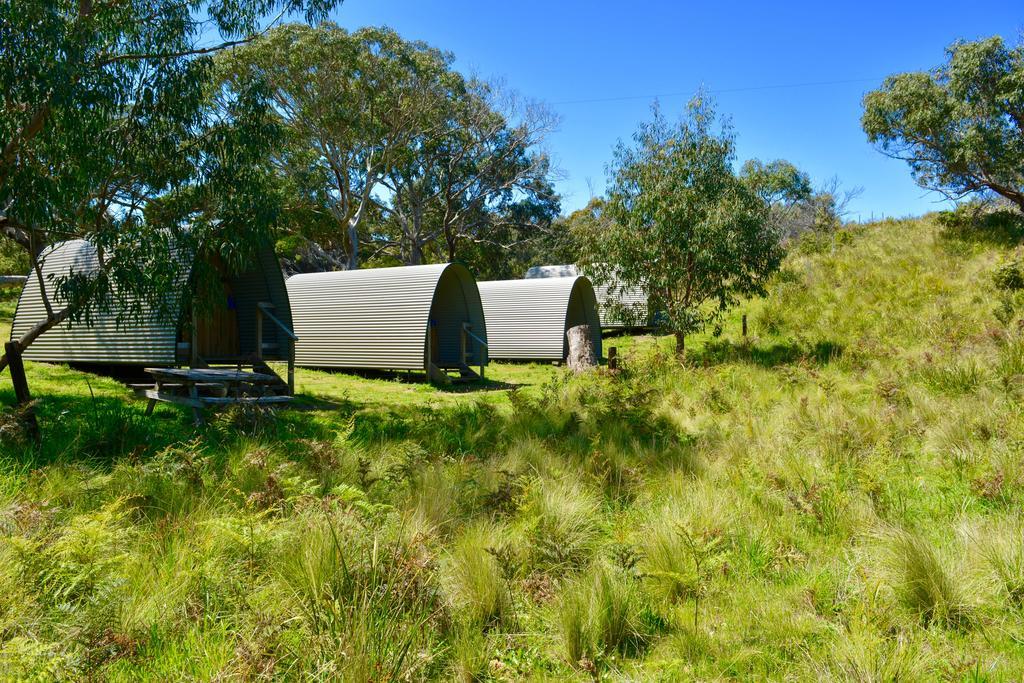 Bimbi Park - Camping Under Koalas Cape Otway Εξωτερικό φωτογραφία