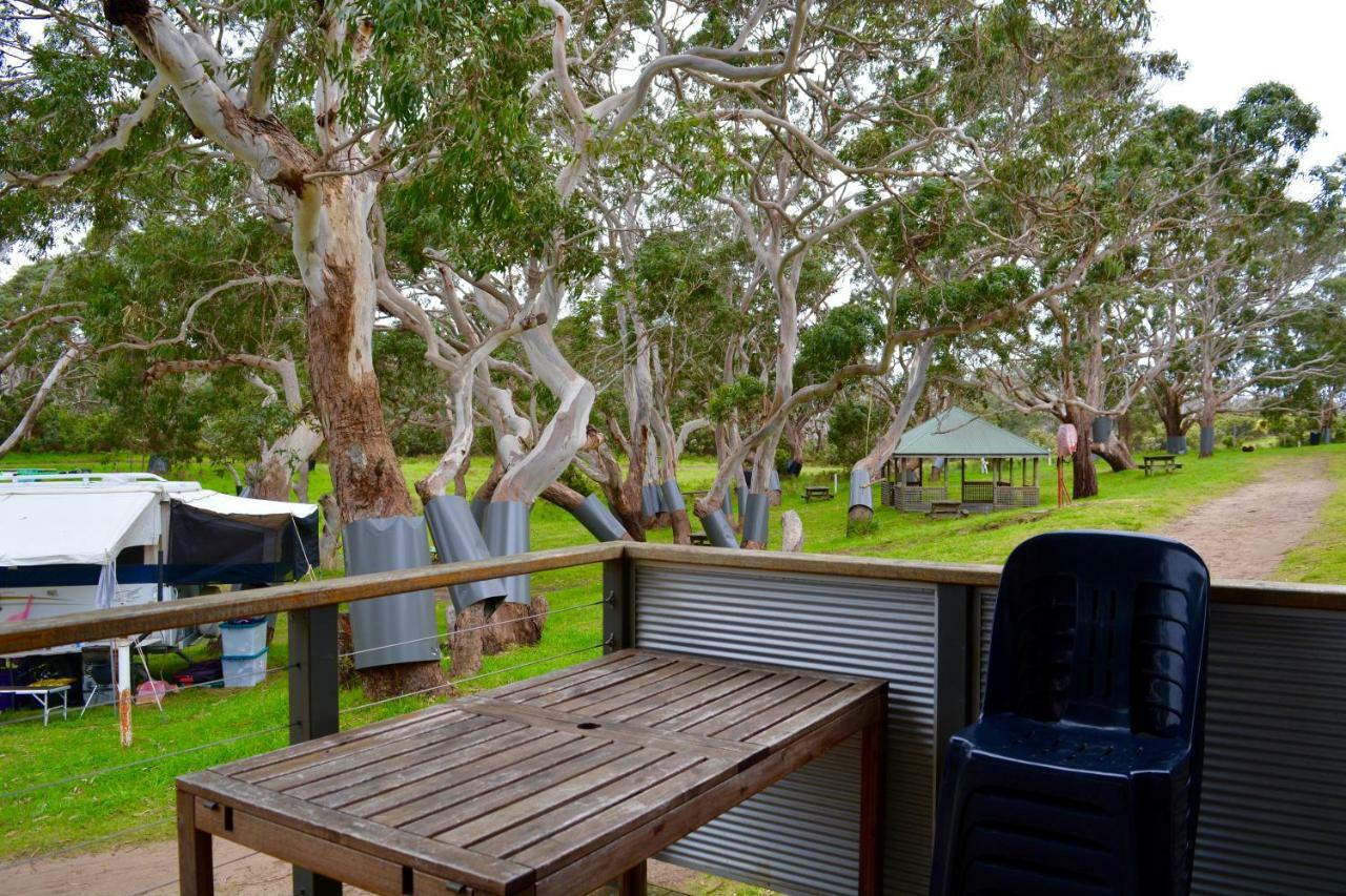 Bimbi Park - Camping Under Koalas Cape Otway Εξωτερικό φωτογραφία